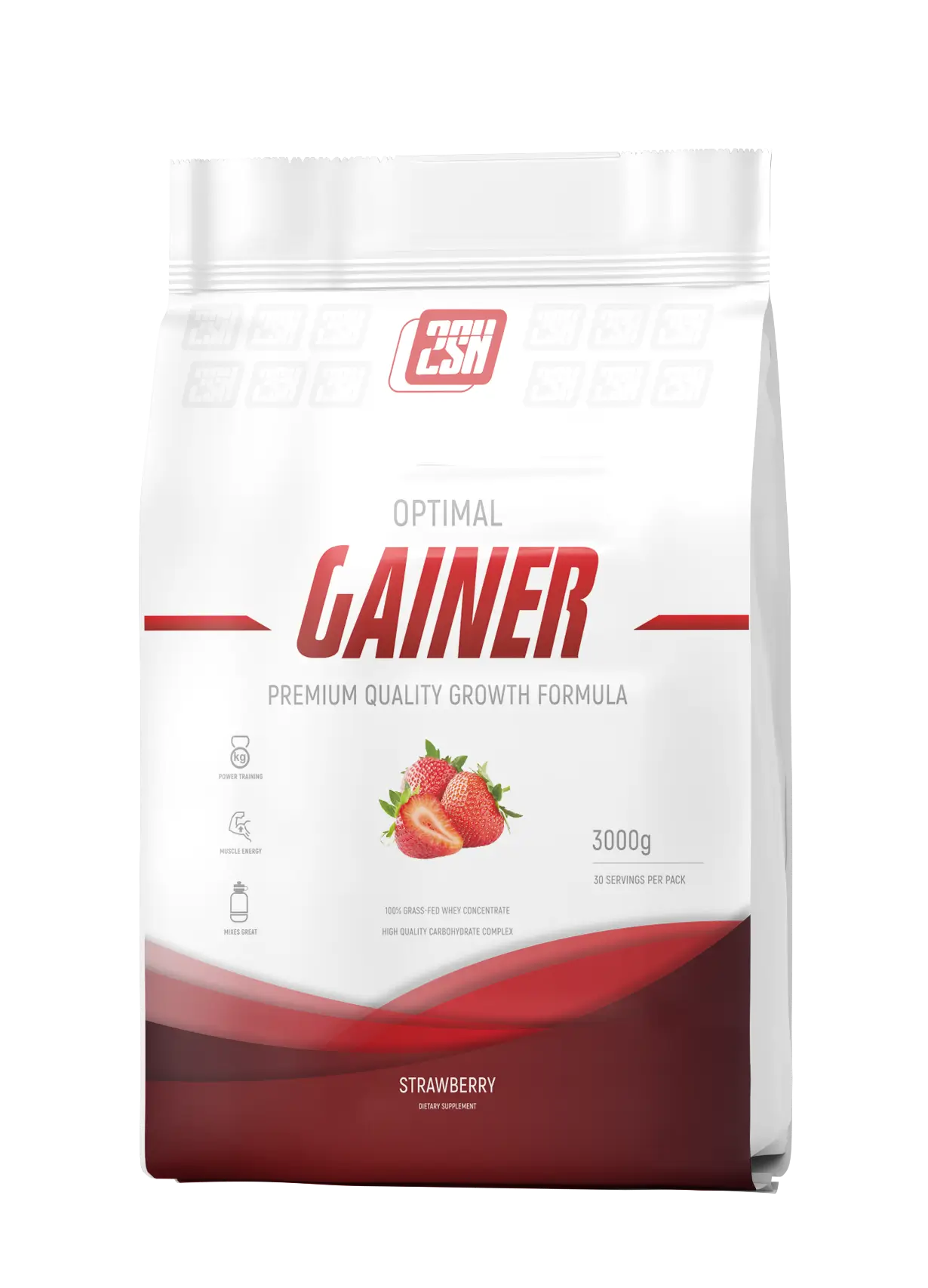 2SN Gainer 3000g (Шоколад)